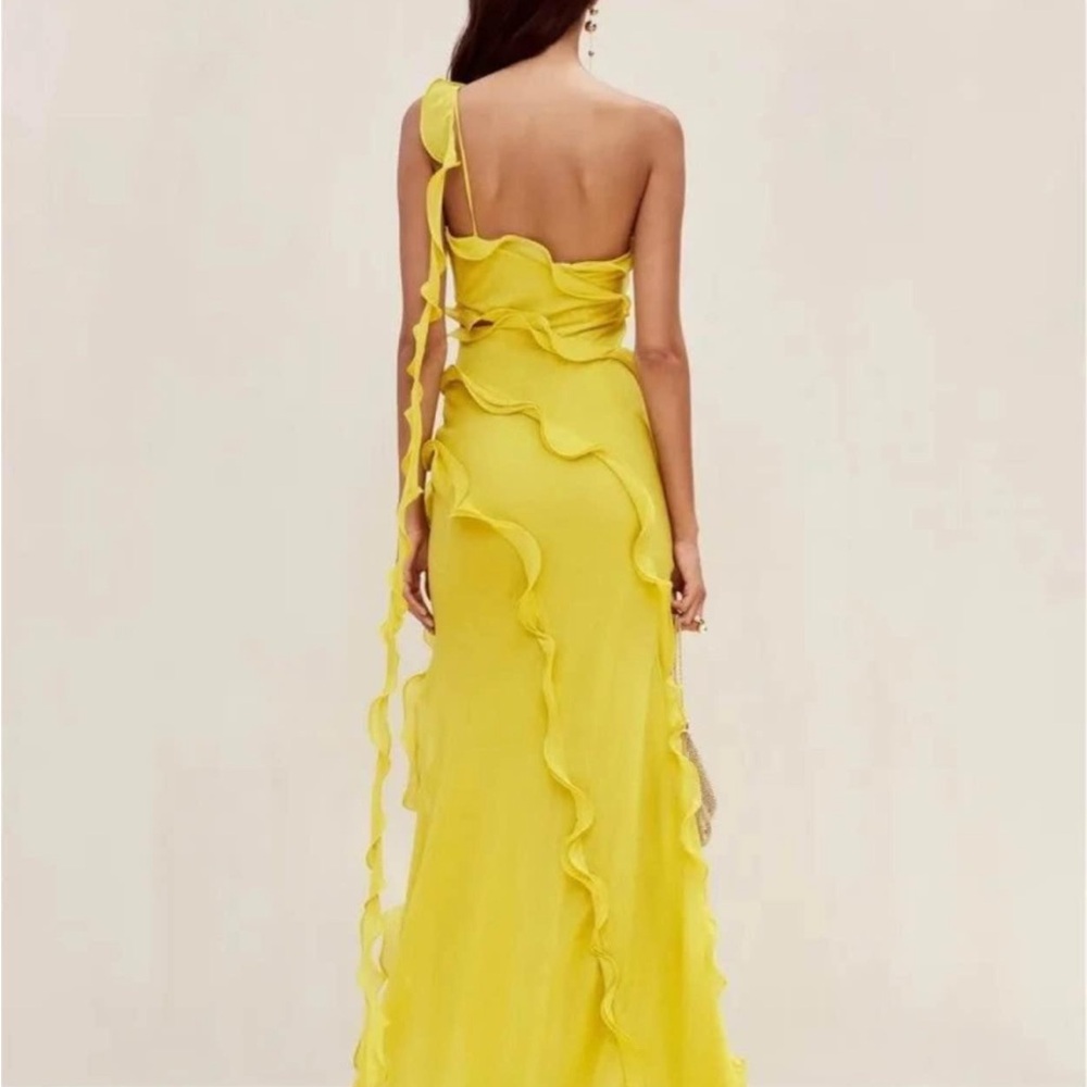 Emelia the Label Izzy Ruffle Maxi Dress - Picture 2 of 2